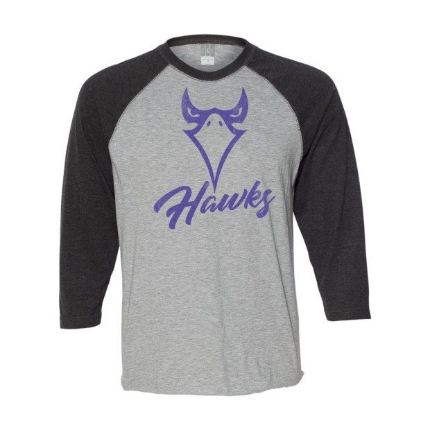 Holly Springs High School | Unisex Three-Quarter Sleeve Baseball Raglan | Distressed Hawk