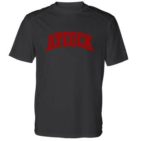 E.B. Aycock Arch Performance Tee | Multiple Colors
