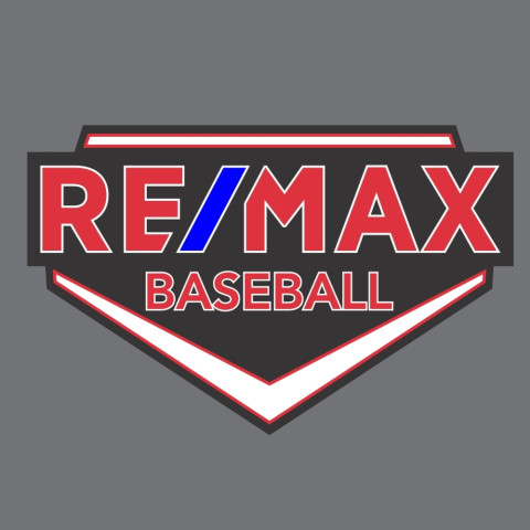ReMax Car Decal