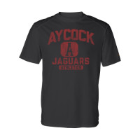 Distressed Aycock Jaguars Athletics Performance Tee | Multiple Colors