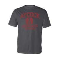 Distressed Aycock Jaguars Athletics Performance Tee | Multiple Colors