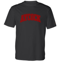 E.B. Aycock Arch Performance Tee | Multiple Colors