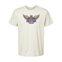 Holly Springs | Cotton T-Shirts | HSHS Hawk Design