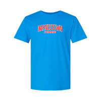 Darnestown Swim Team | Arch Logo | Cotton T-Shirts